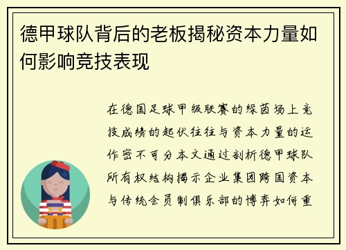 德甲球队背后的老板揭秘资本力量如何影响竞技表现